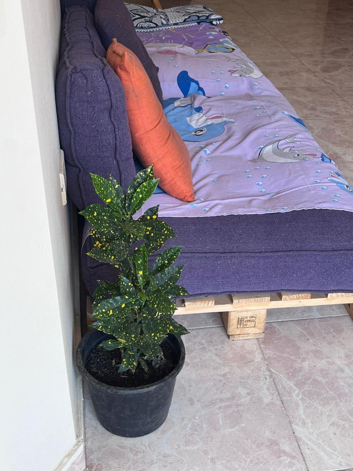 Bed In Raheem Guest House More Than Accommodation Il Il Cairo Esterno foto